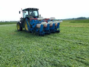 rouleau cranteur bd