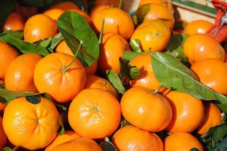 clementines 318213 1280