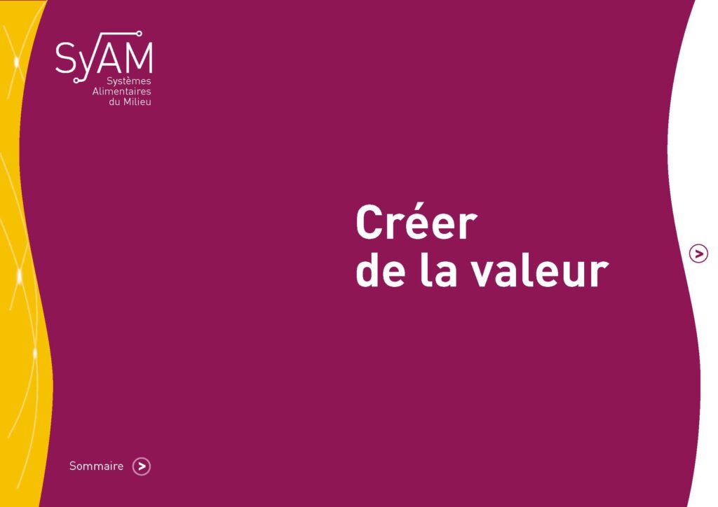 fiches syam vdef page 16