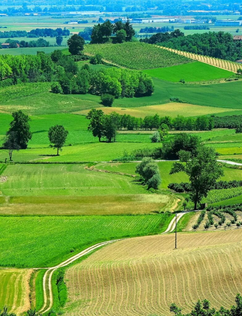 monferrato 2980100 1280