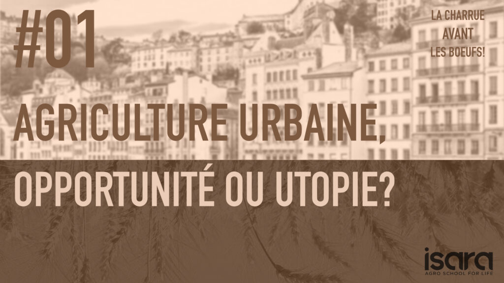 Agriculture urbaine Opportunité ou utopie ?