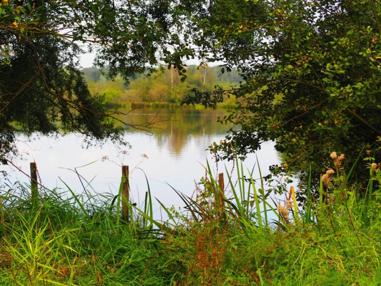 etang ja