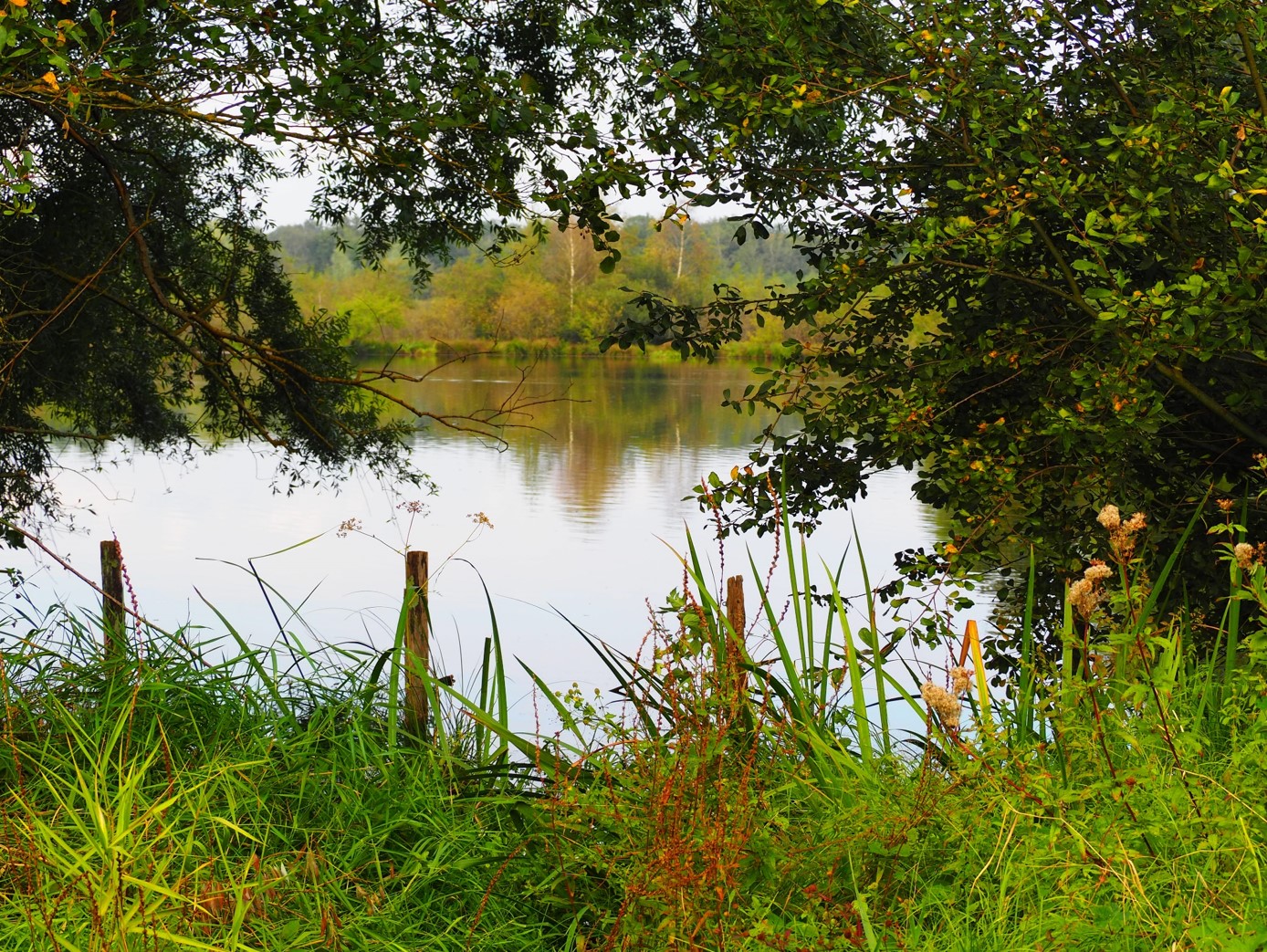 etang ja