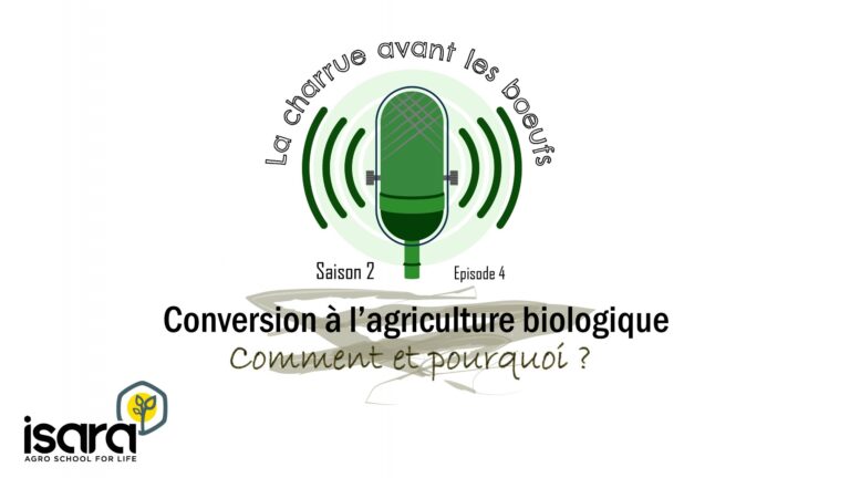 s2e4 visuel youtube plan de travail 1