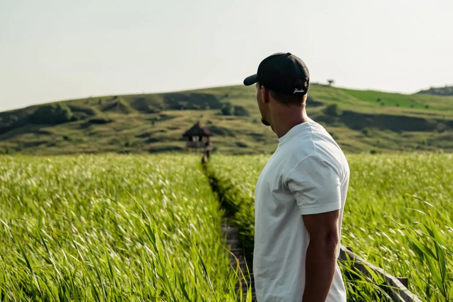 homme dans un champs agronome