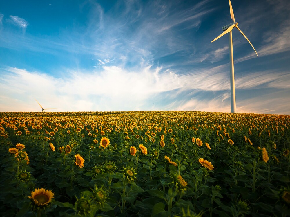 Transition énergétique