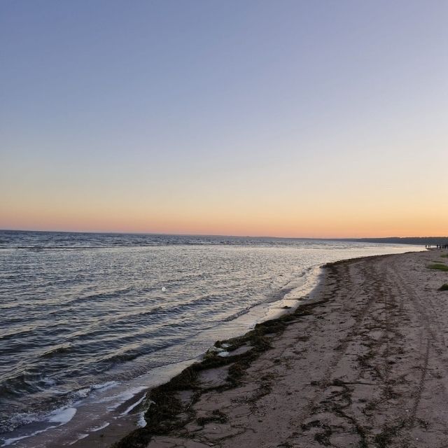 Plage d'Estonie